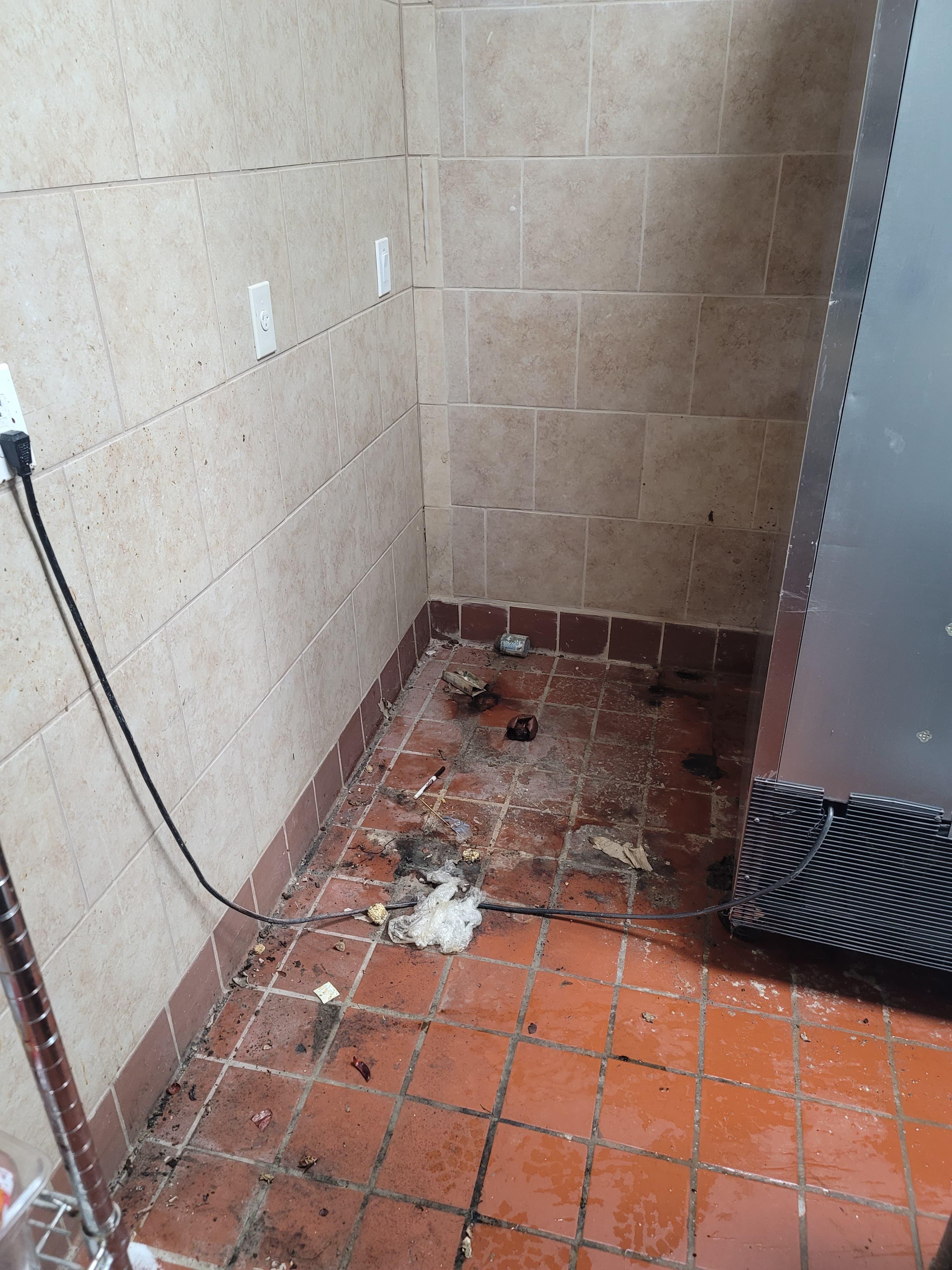 Professional cleaning equipment